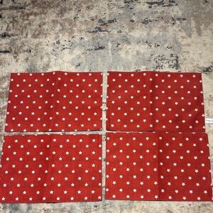 Novogratz Outdoor Fabric Easy Care Placemats Set of 4